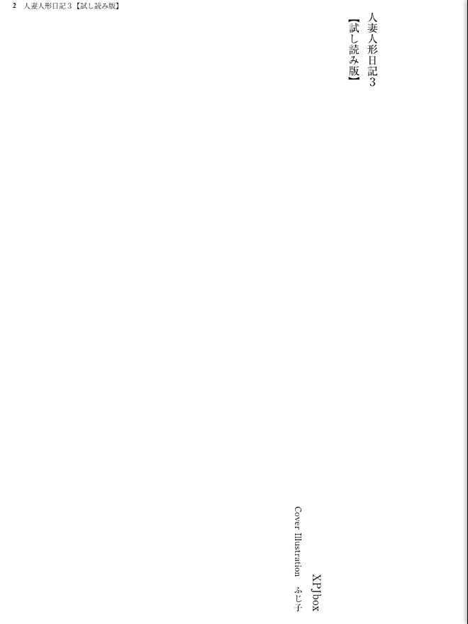 人妻人形日記 - page 3