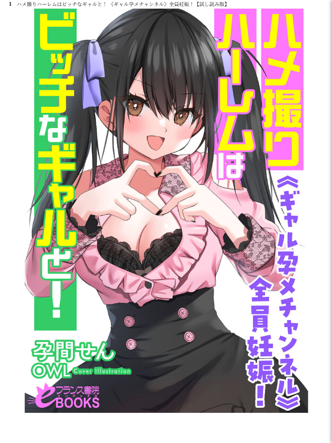 ハメ撮りハーレムはビッチなギャルと！ - page 1